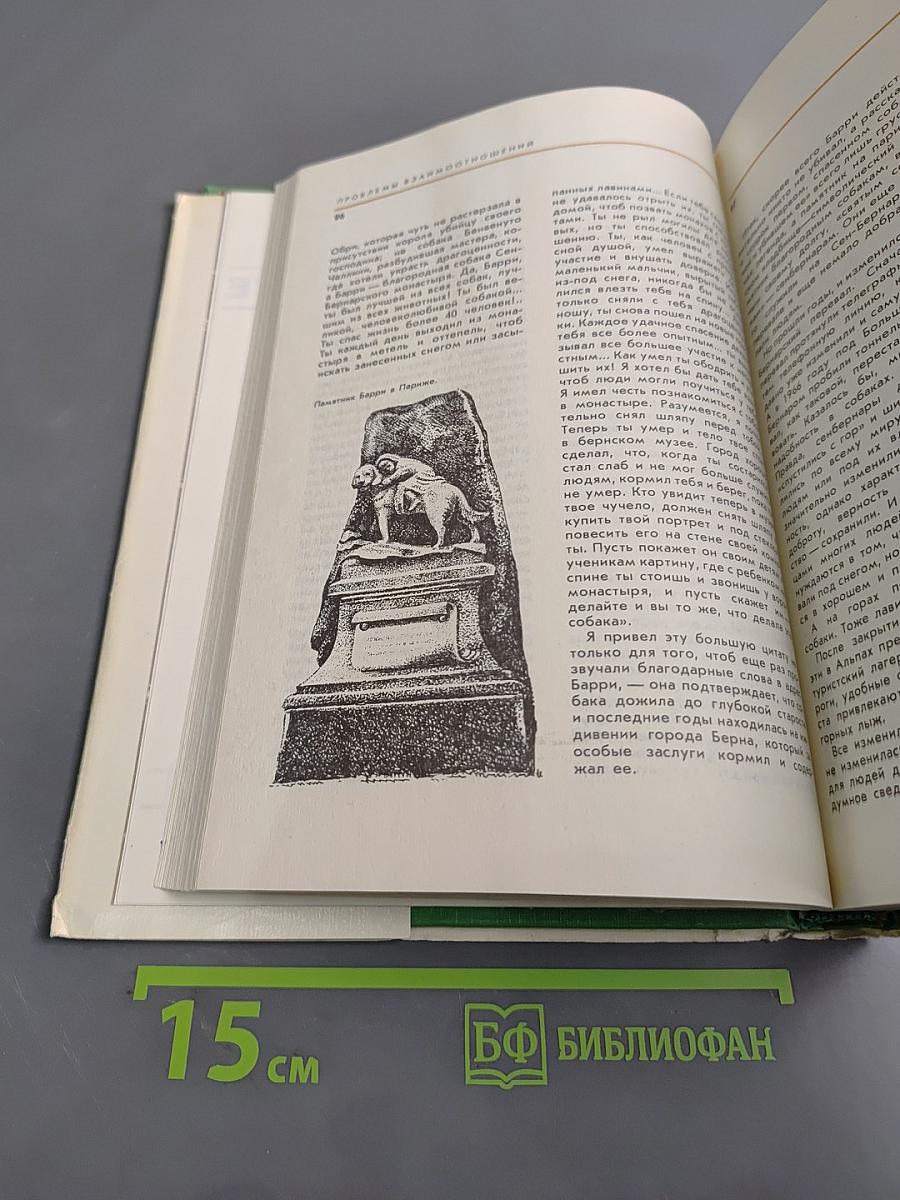 Соседи по планете