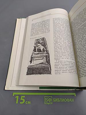 Соседи по планете