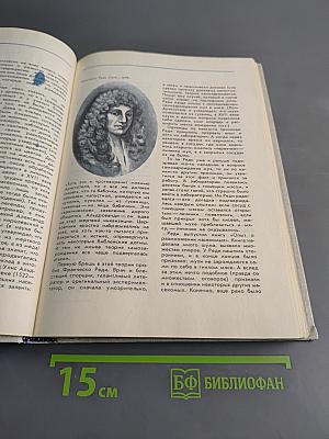 Соседи по планете. Насекомые