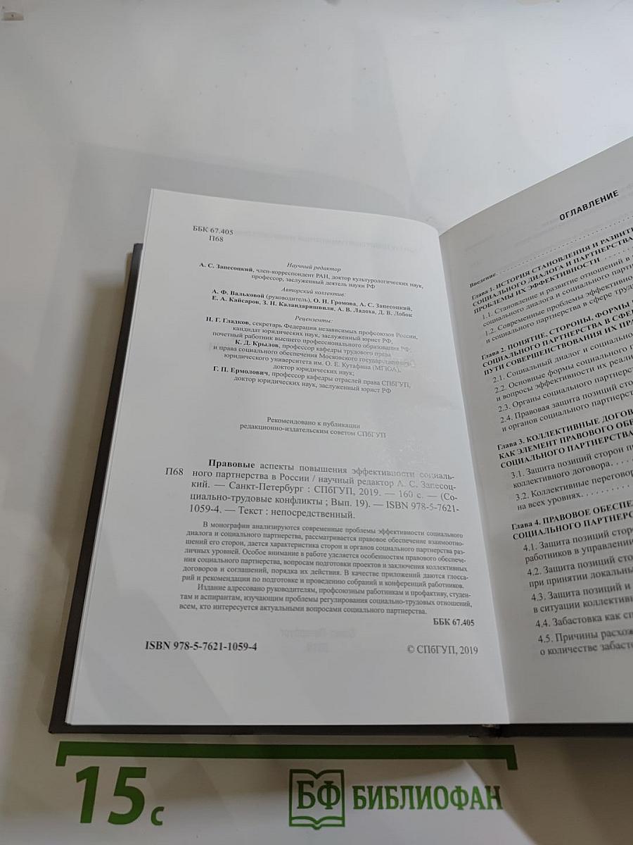Правовые аспекты повышения эффективности социального партнерства в России. Выпуск 19