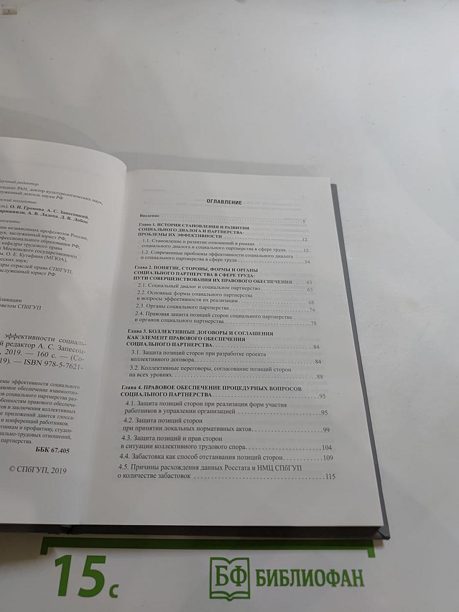 Правовые аспекты повышения эффективности социального партнерства в России. Выпуск 19