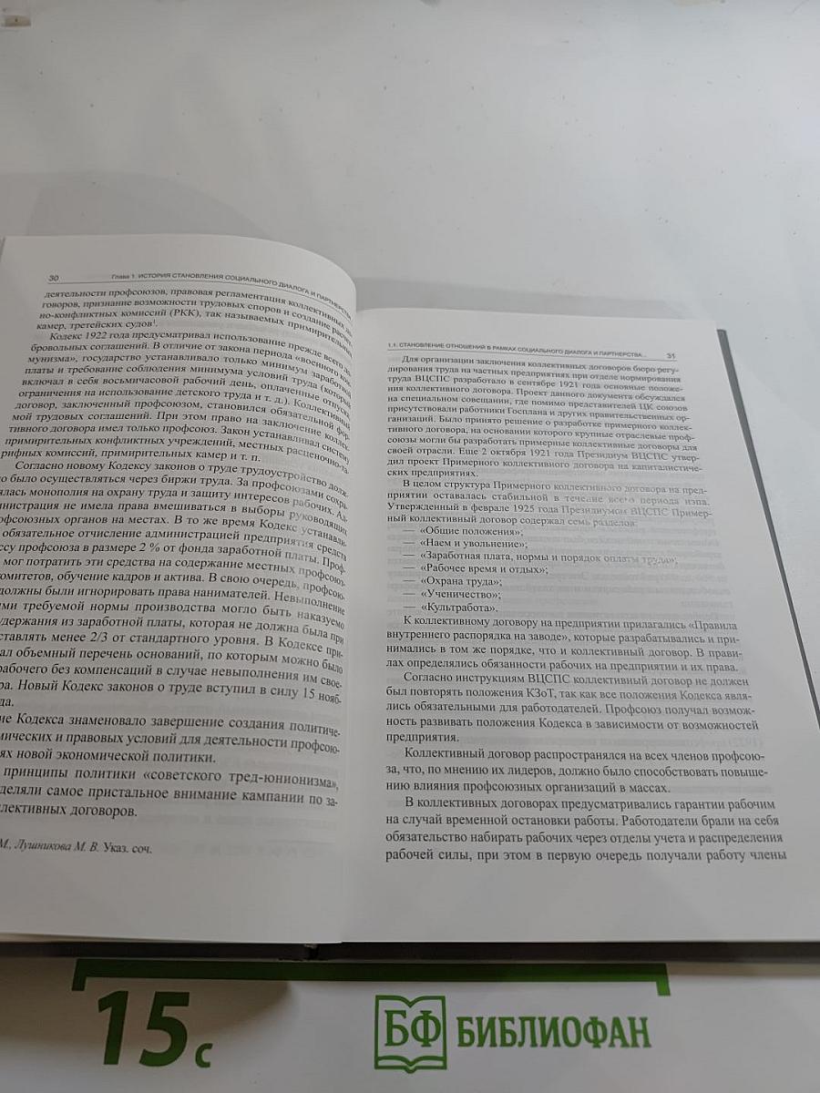 Правовые аспекты повышения эффективности социального партнерства в России. Выпуск 19
