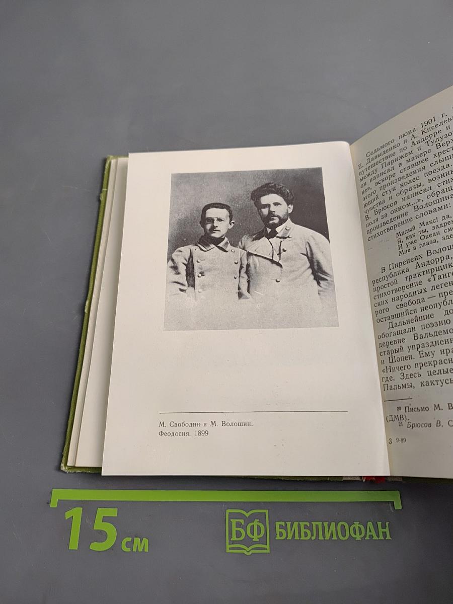 Судьба поэта (Личность и поэзия Максимилиана Волошина)