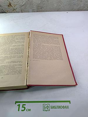 Молодая гвардия