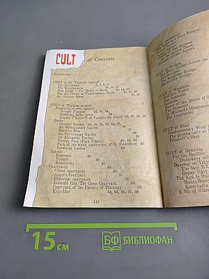 Alternative Petersburg Guide Book
