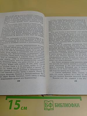 Хитроумный идальго Дон Кихот Ламанчский. Часть 2