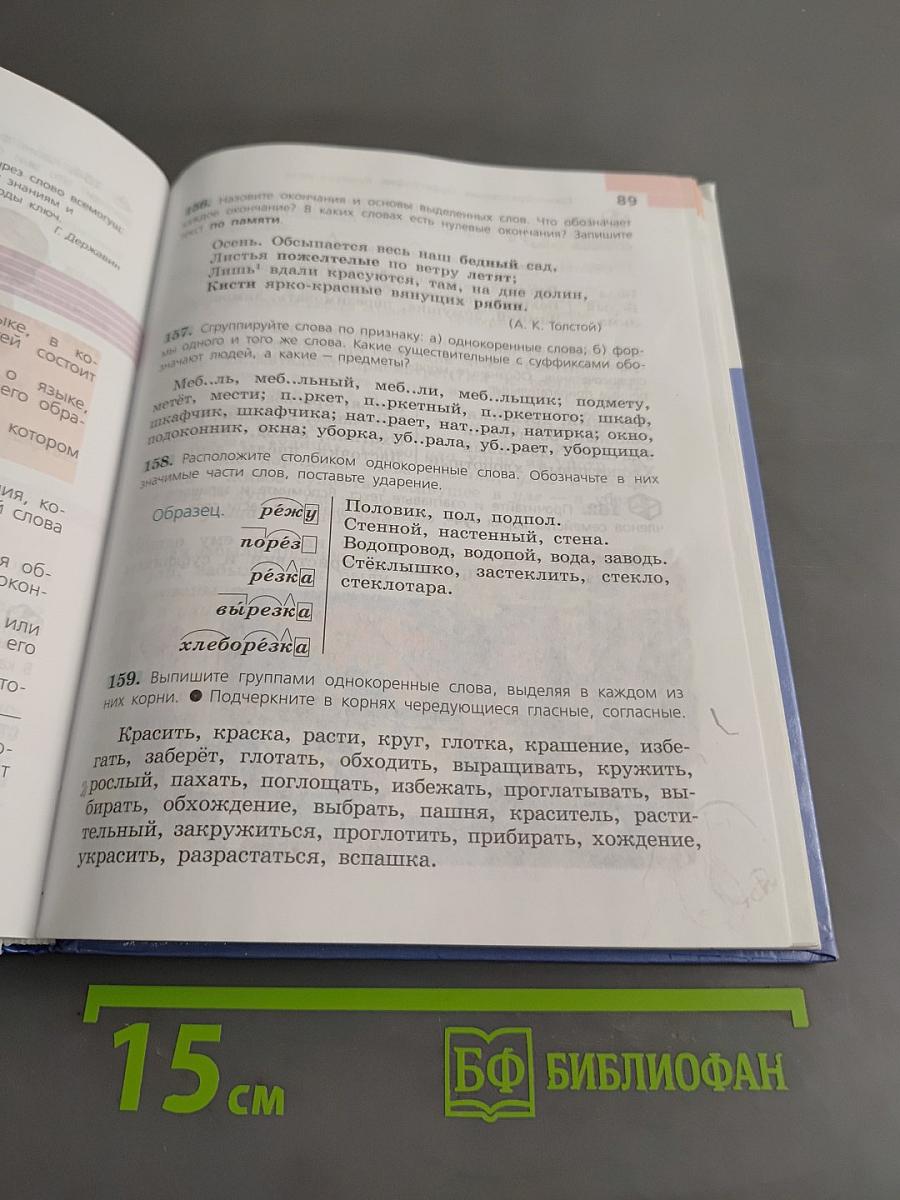 Русский язык. 6 класс. Часть 1