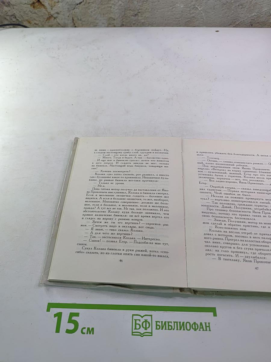 Не стреляйте белых лебедей