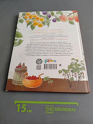 Фруктовые истории. Из чего делают сок, варенье и другие вкусности