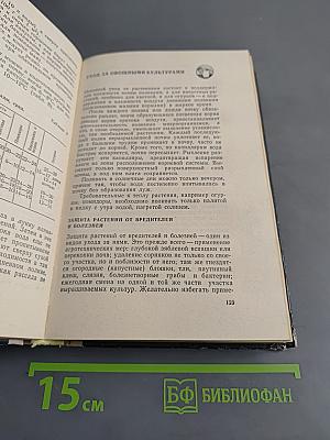 Приусадебное хозяйство