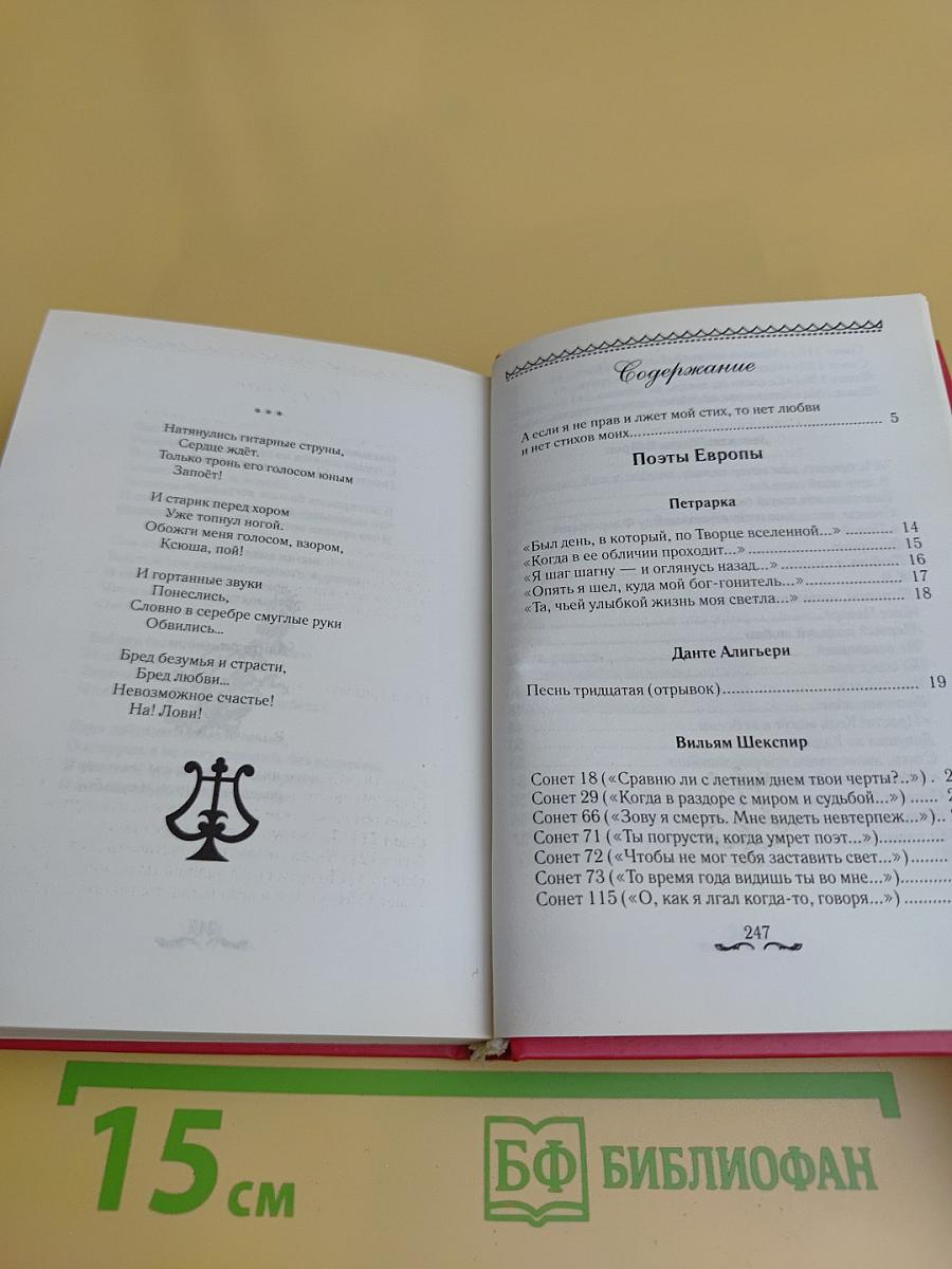 Лучшие поэты мира о любви