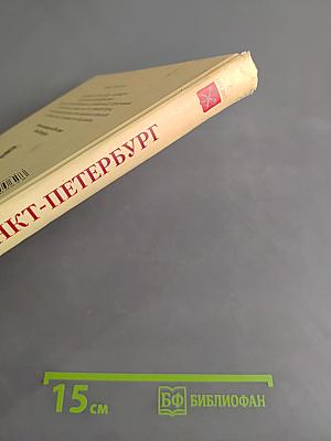 Санкт-Петербург. Иллюстрированная история для детей