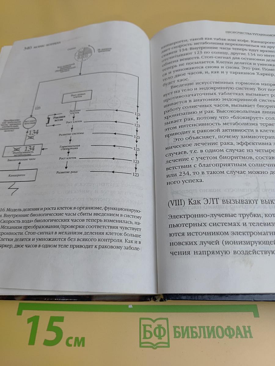 Пророчества Тутанхамона