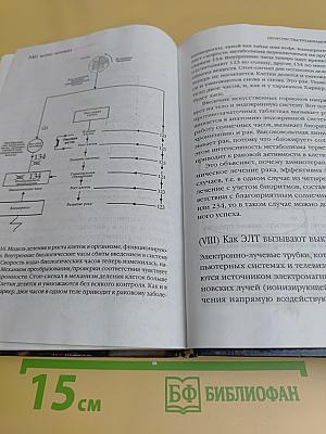 Пророчества Тутанхамона