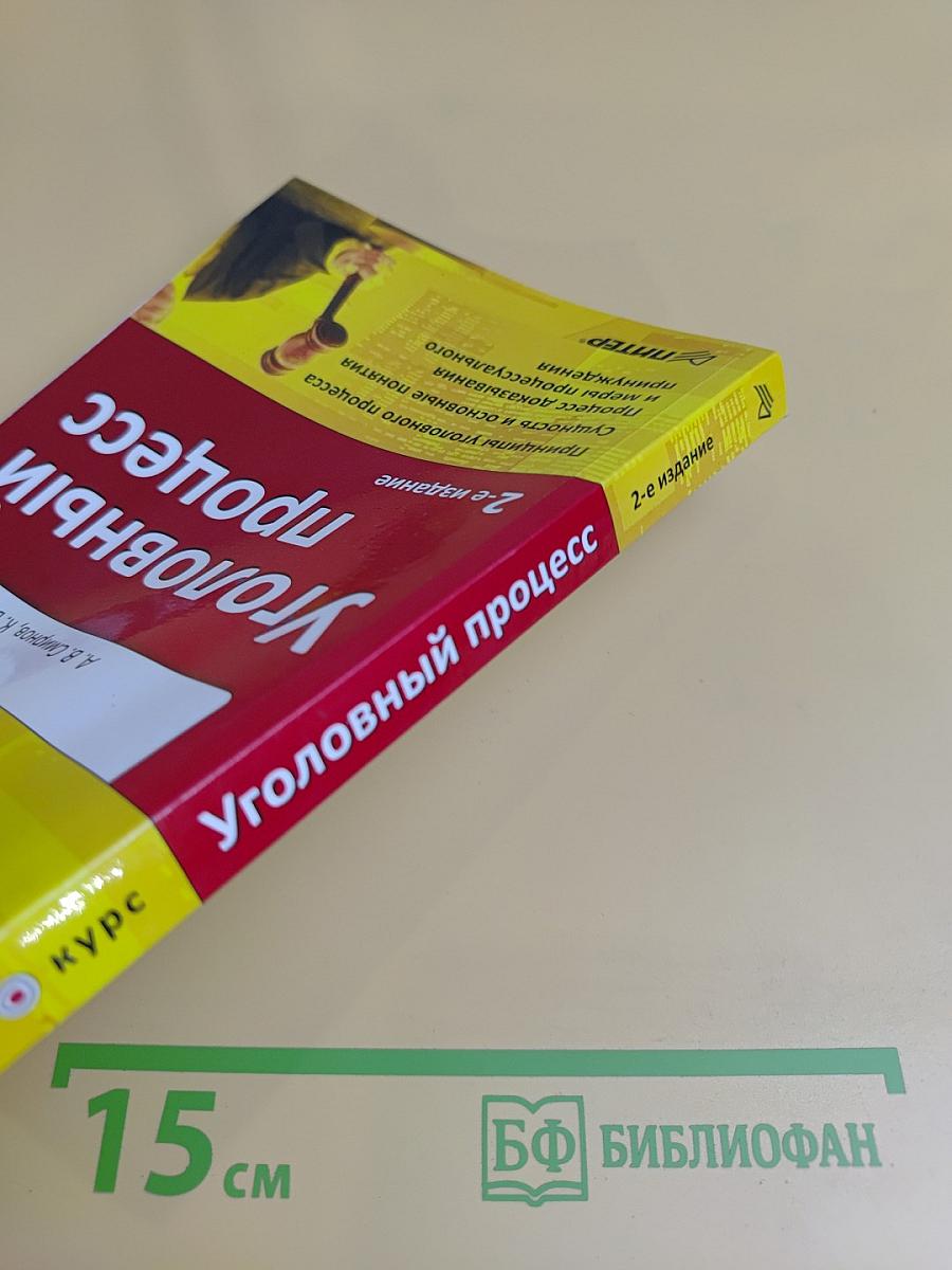 Уголовный процесс. Краткий курс