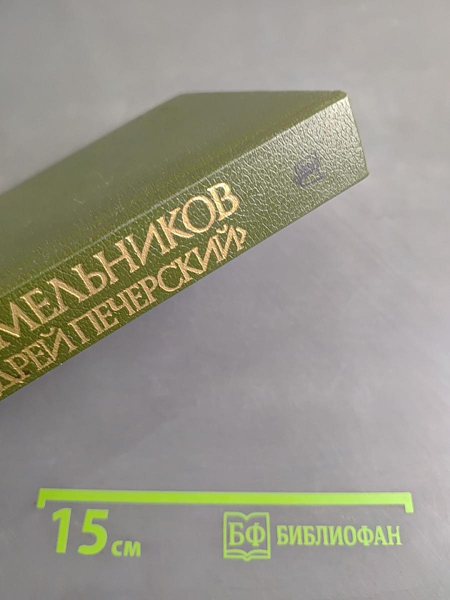 Андрей Печерский. В лесах. Книга вторая