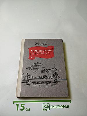 Чернышевский в Петербурге