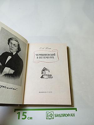 Чернышевский в Петербурге