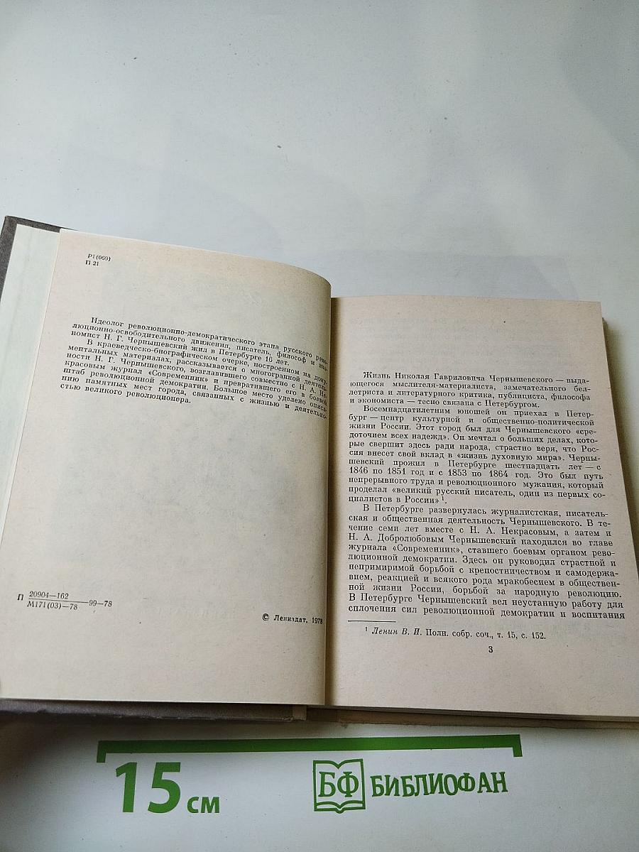 Чернышевский в Петербурге