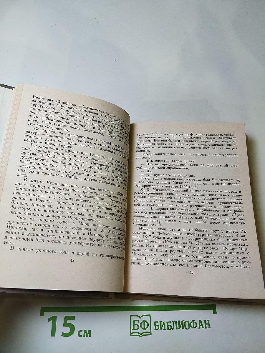 Чернышевский в Петербурге