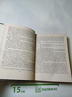 Чернышевский в Петербурге
