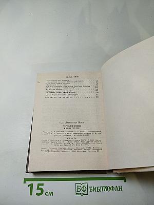 Чернышевский в Петербурге