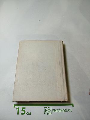 Чернышевский в Петербурге