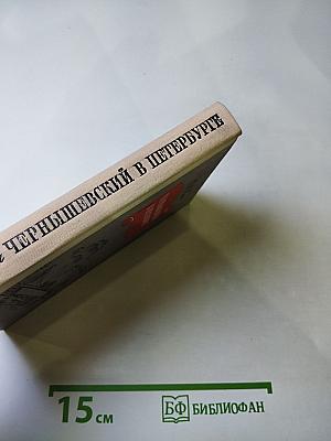 Чернышевский в Петербурге