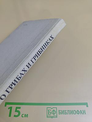 О грибах и грибниках. Справочник по сбору грибов в Крыму