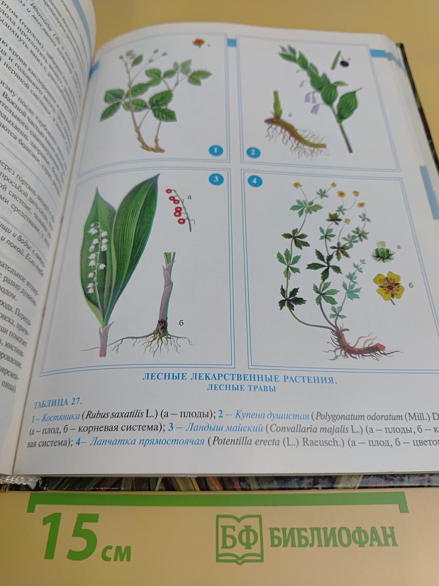 Большая энциклопедия народной медицины