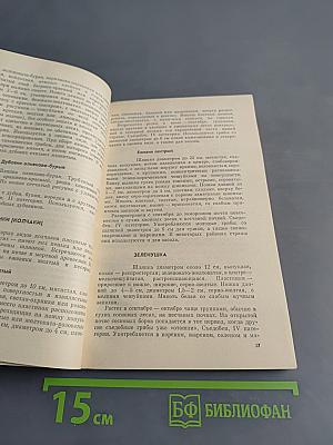 Тебе, грибник