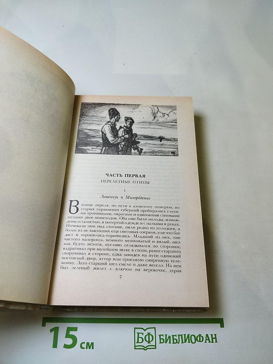 Г. П. Данилевский. Беглые в Новороссии. Воля. Княжна Тараканова