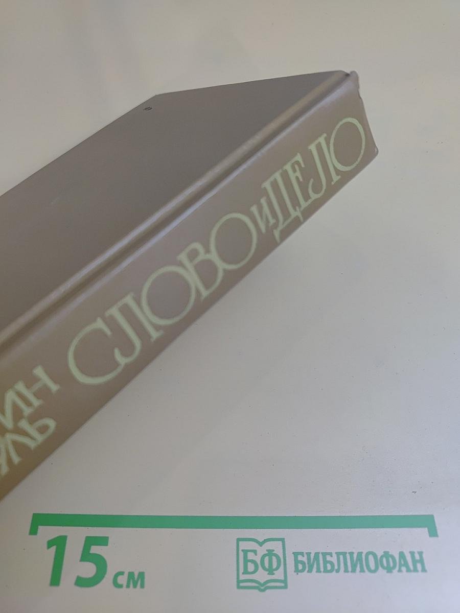 Слово и дело. Роман-хроника времён Анны Иоанновны. Книга 2. Мои любезные конфиденты