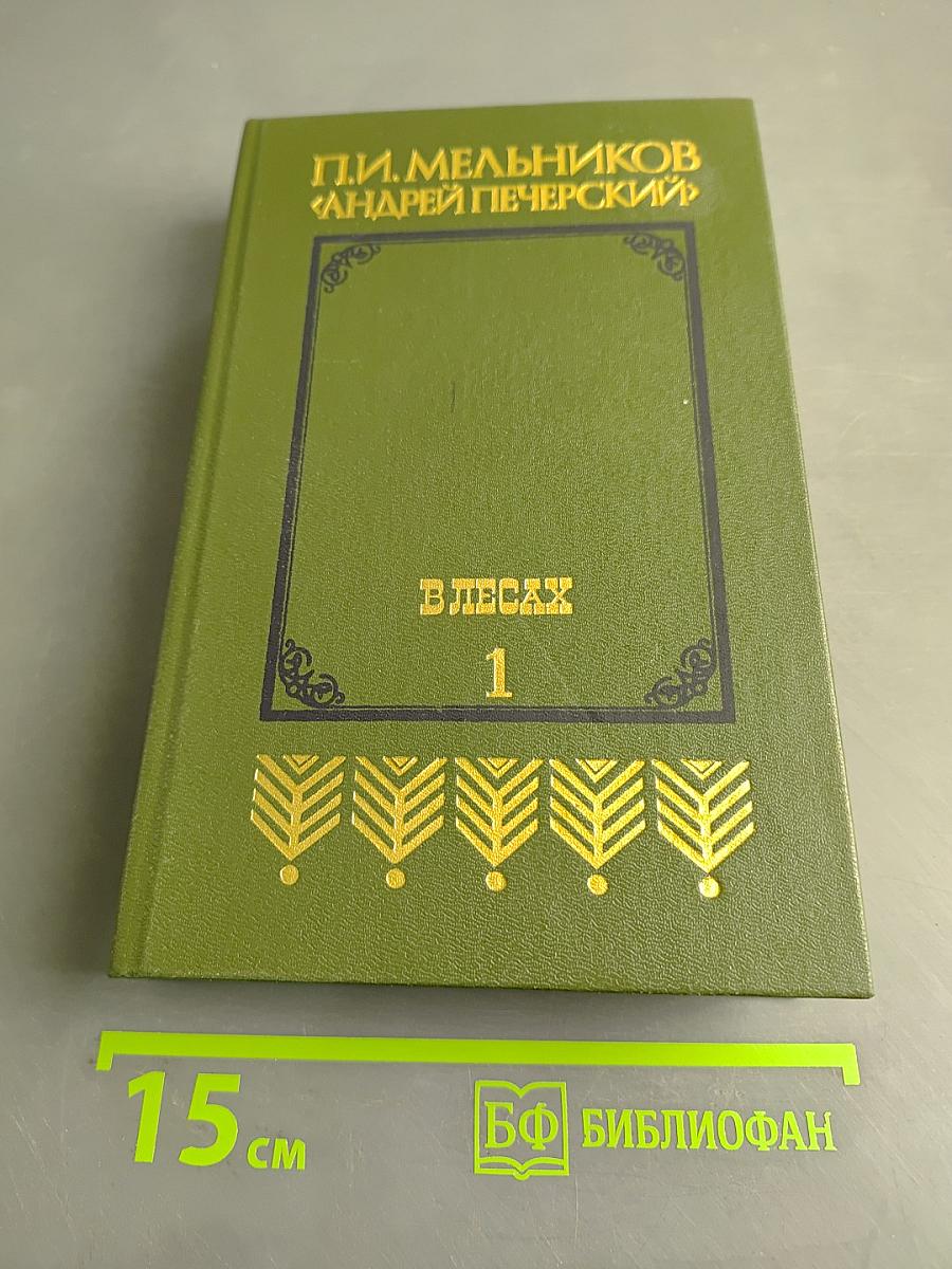 В лесах. Книга первая
