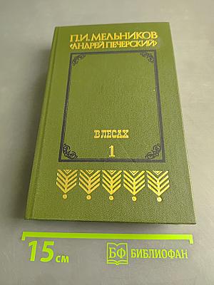 В лесах. Книга первая