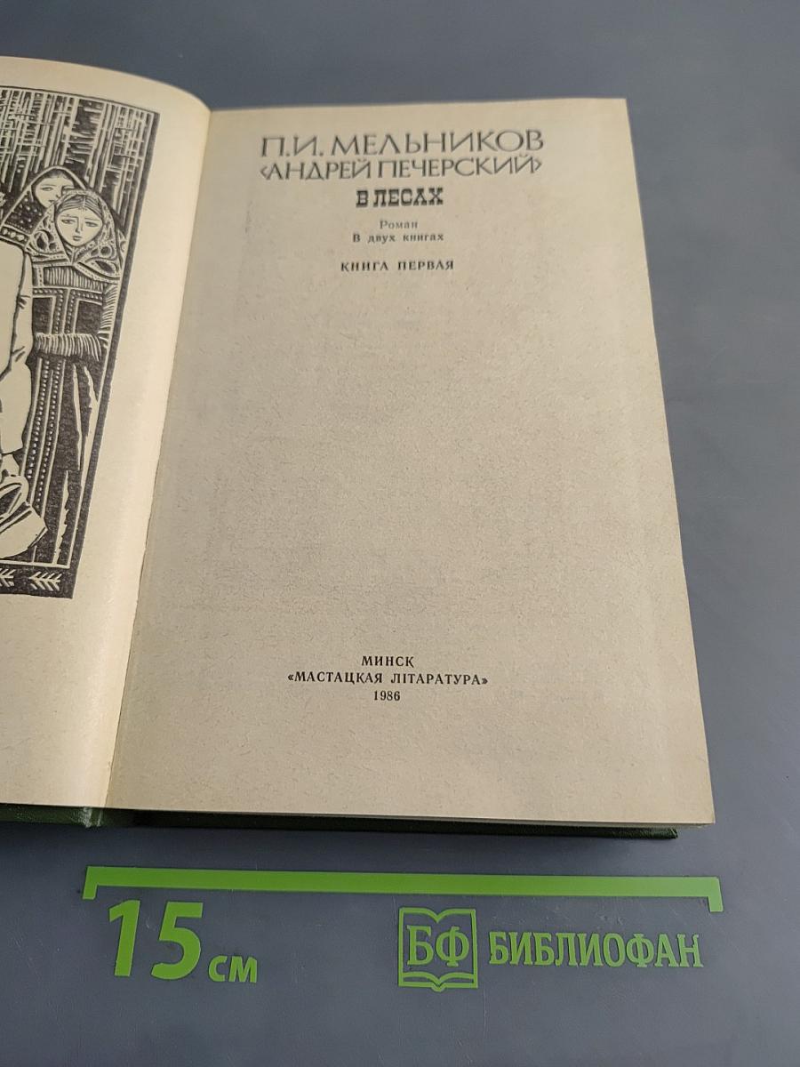В лесах. Книга первая
