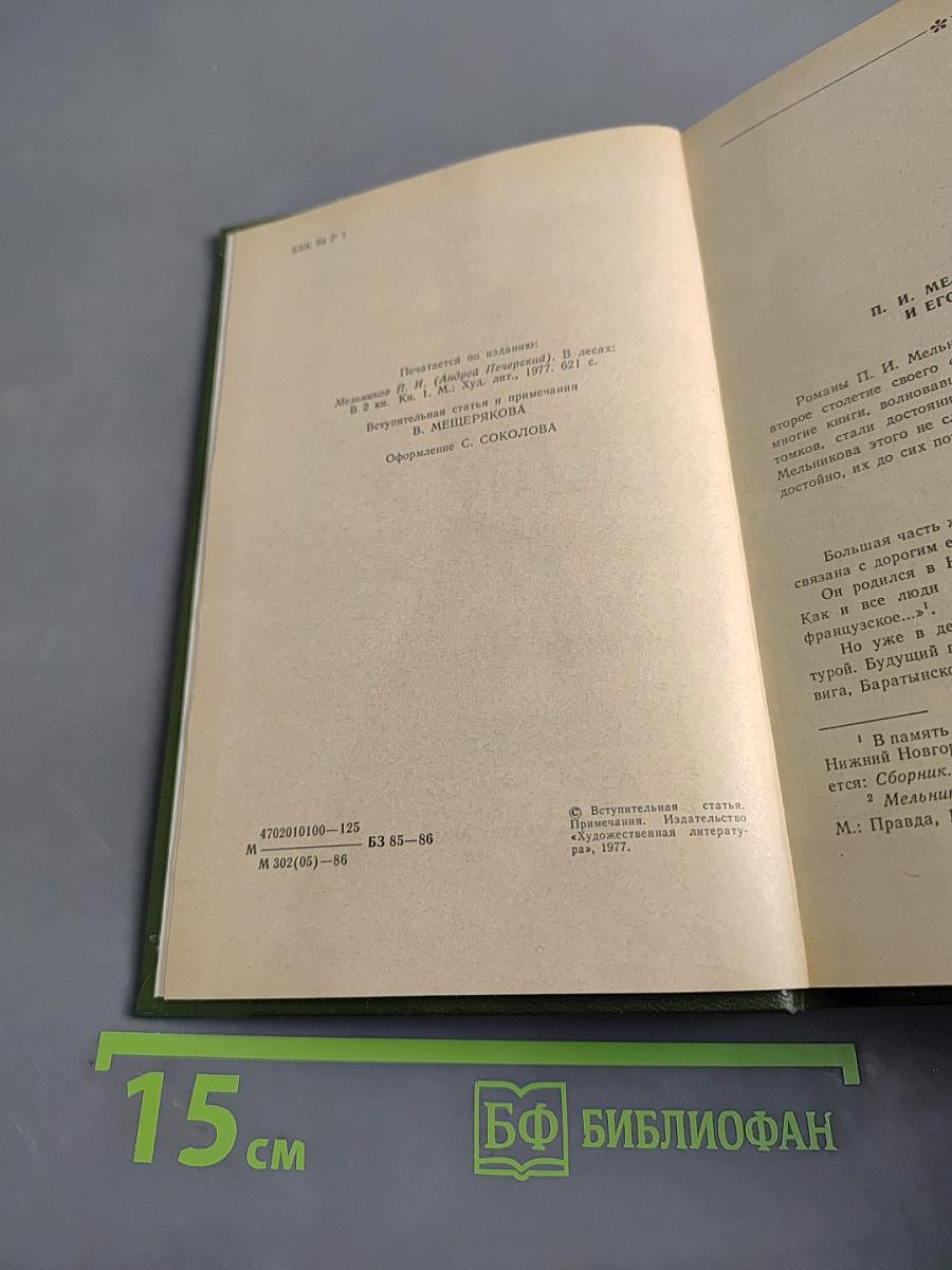 В лесах. Книга первая
