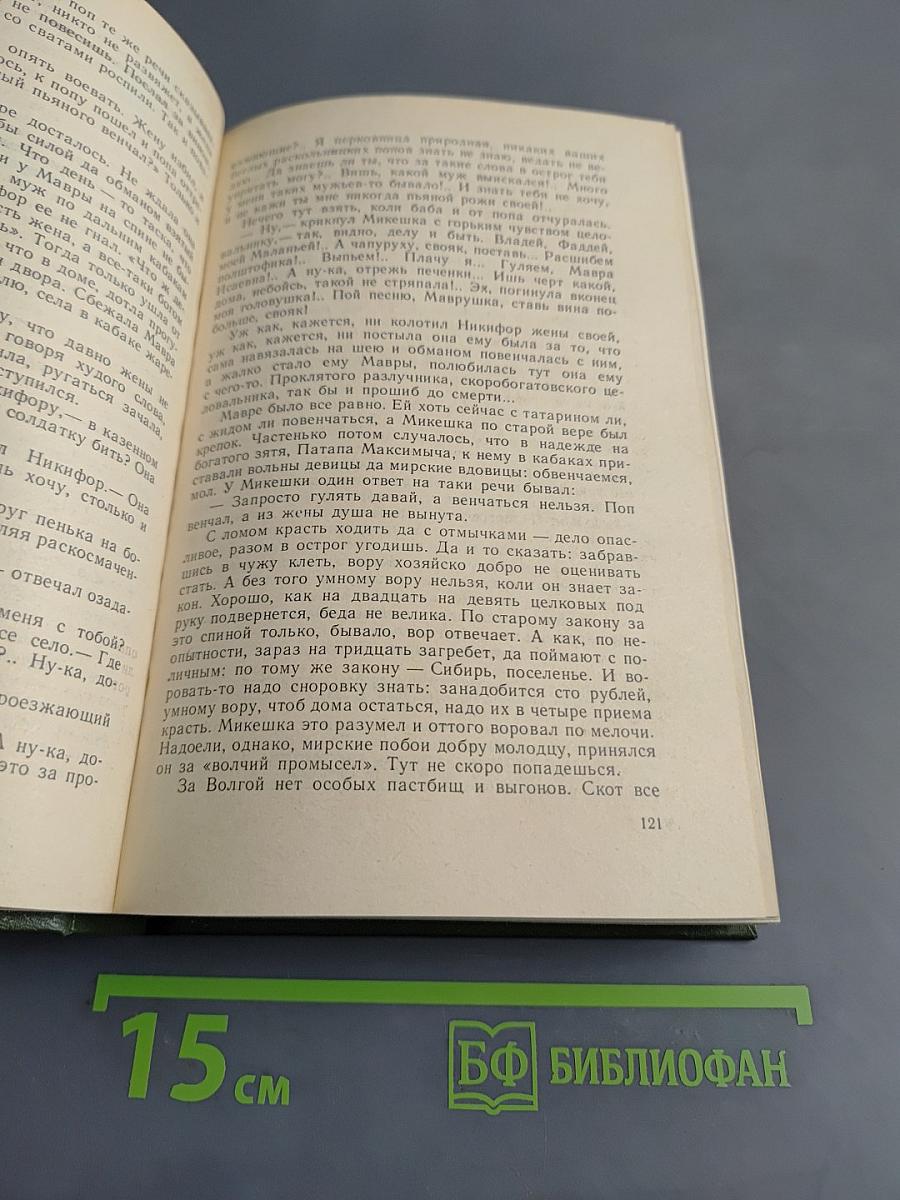 В лесах. Книга первая