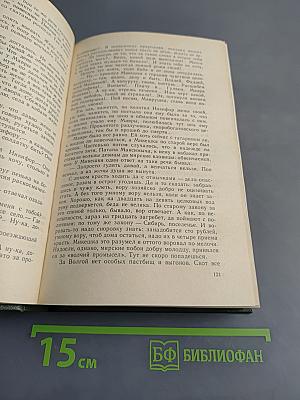 В лесах. Книга первая
