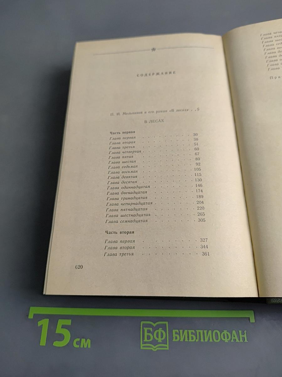 В лесах. Книга первая