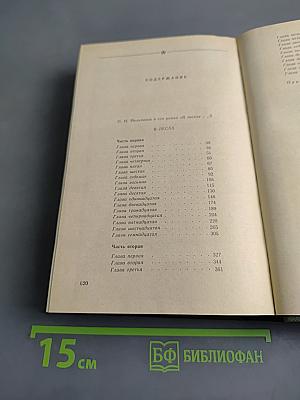 В лесах. Книга первая