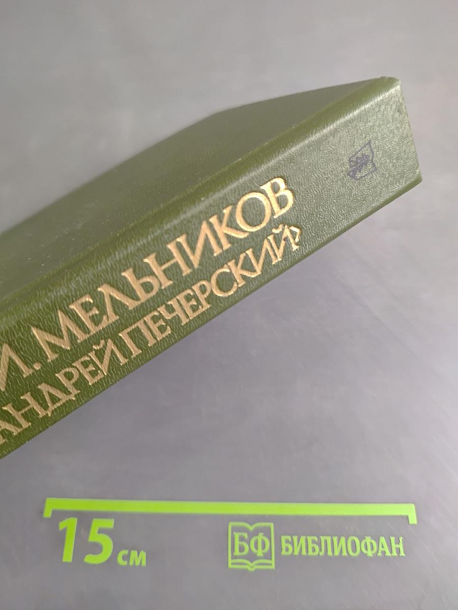 В лесах. Книга первая