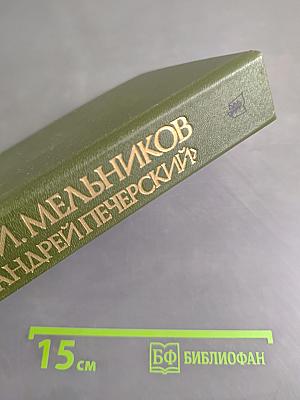 В лесах. Книга первая