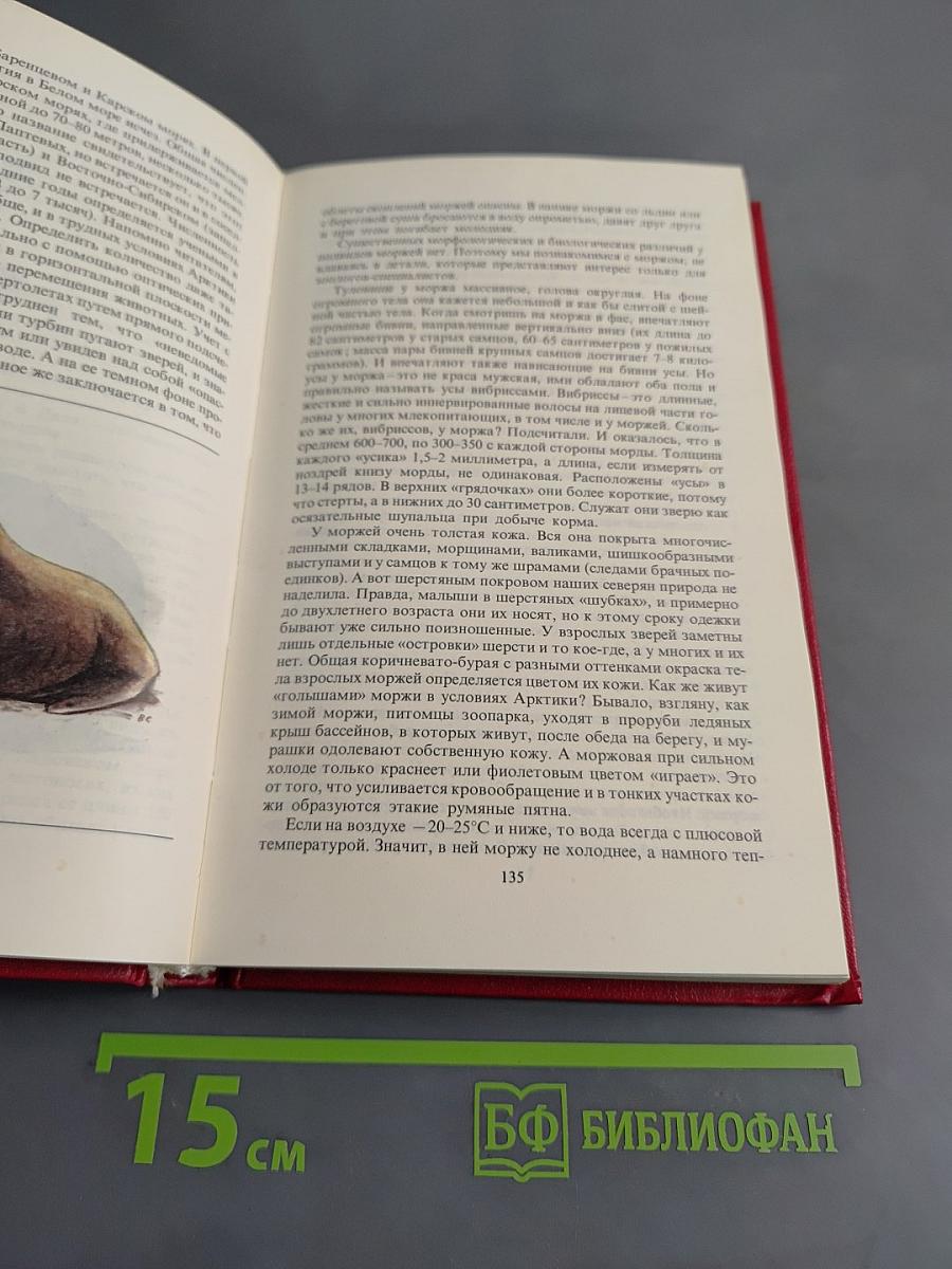Редкие и исчезающие животные