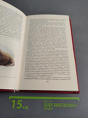 Редкие и исчезающие животные