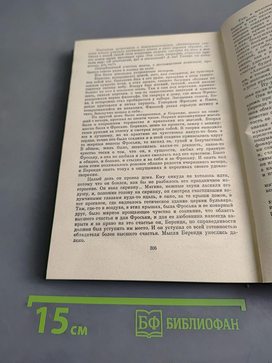 Детство Темы. Гимназисты