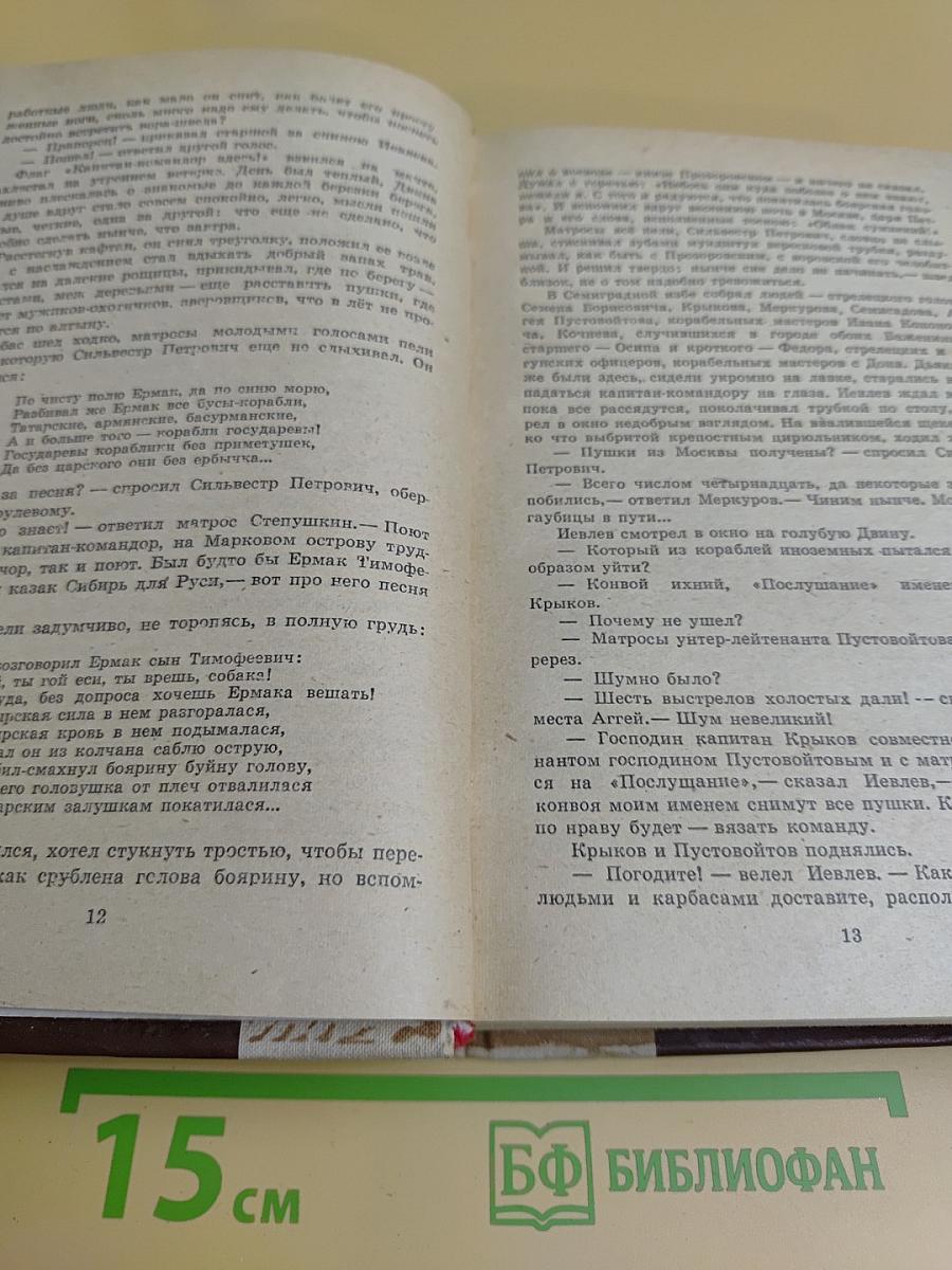 Россия молодая. Исторический роман. Книга вторая