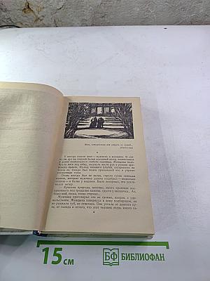 Хождение по мукам. Книга третья. Хмурое утро