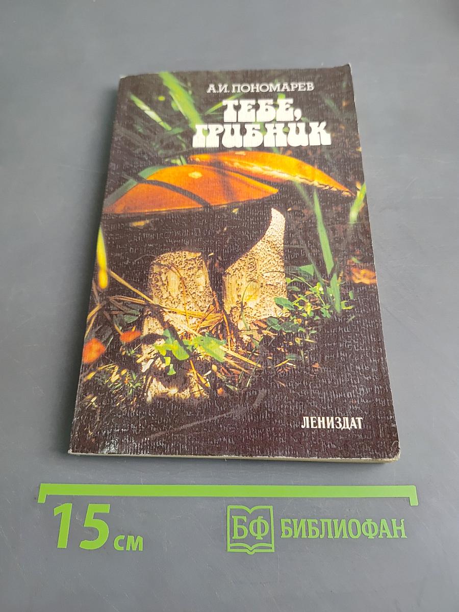 Тебе, грибник