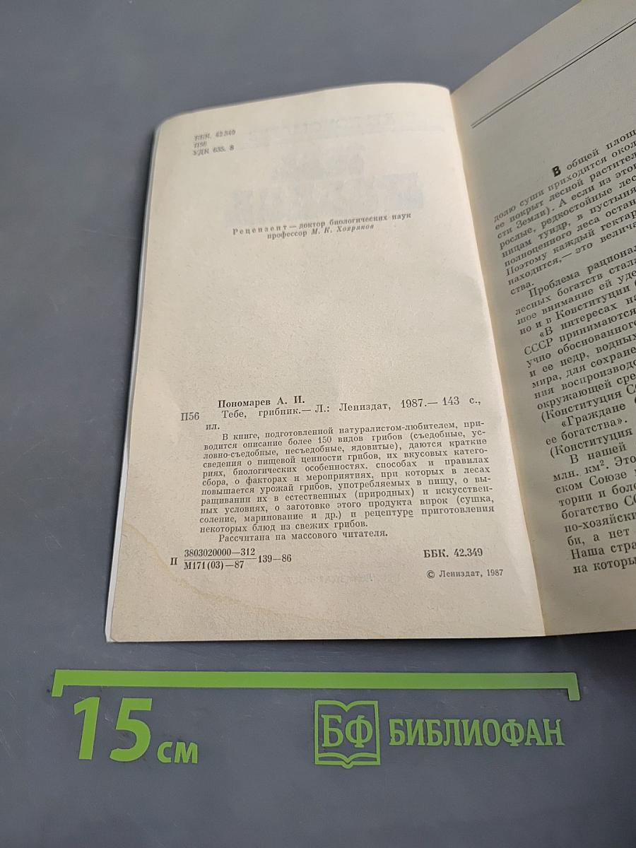 Тебе, грибник